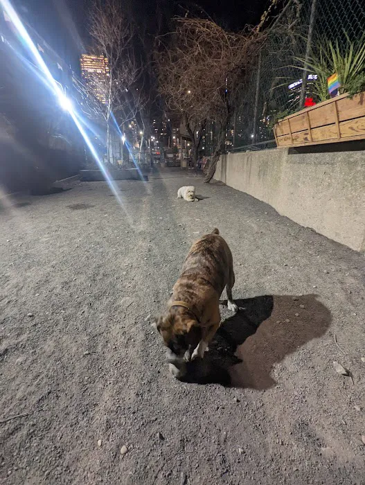 Astro's Community Dog Run 4