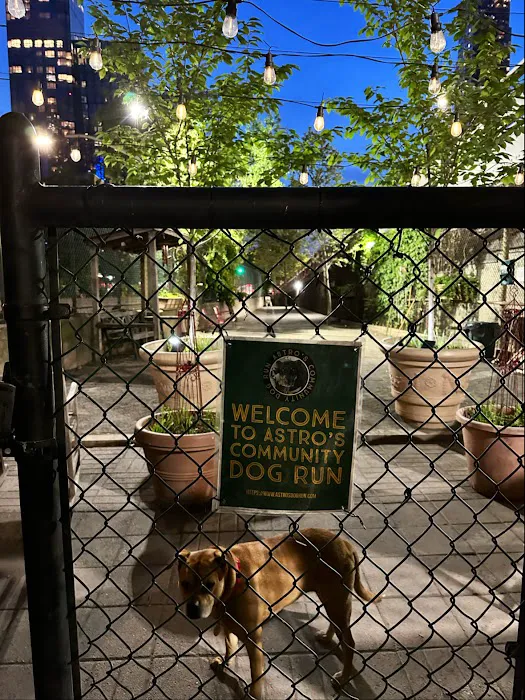 Astro's Community Dog Run 6