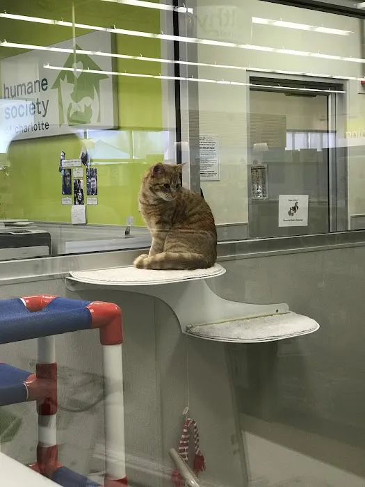 Petco 6