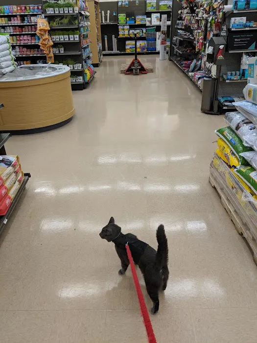 Petco 9