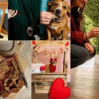 Charlie's Barkery ico