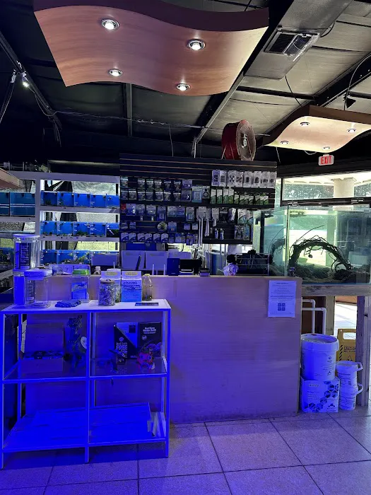 Upscale Aquatics 2