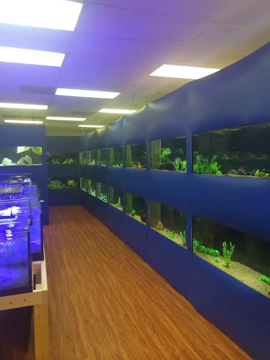 Upscale Aquatics 7