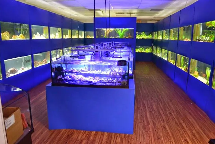 Upscale Aquatics 9