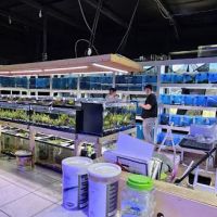 Upscale Aquatics ico