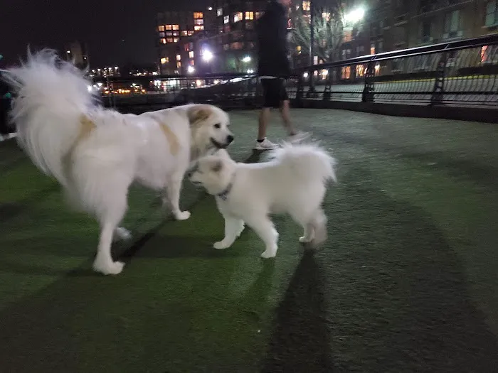 Shipyard Park Dog Park 3