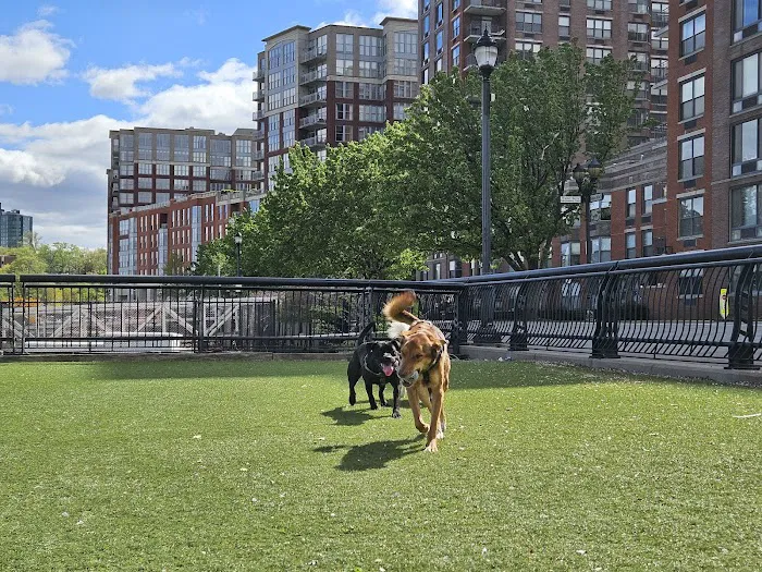 Shipyard Park Dog Park 10