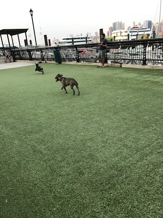 Shipyard Park Dog Park 6