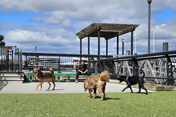 Shipyard Park Dog Park 2