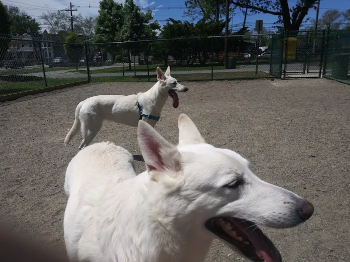 Washington Park Dog Run 4