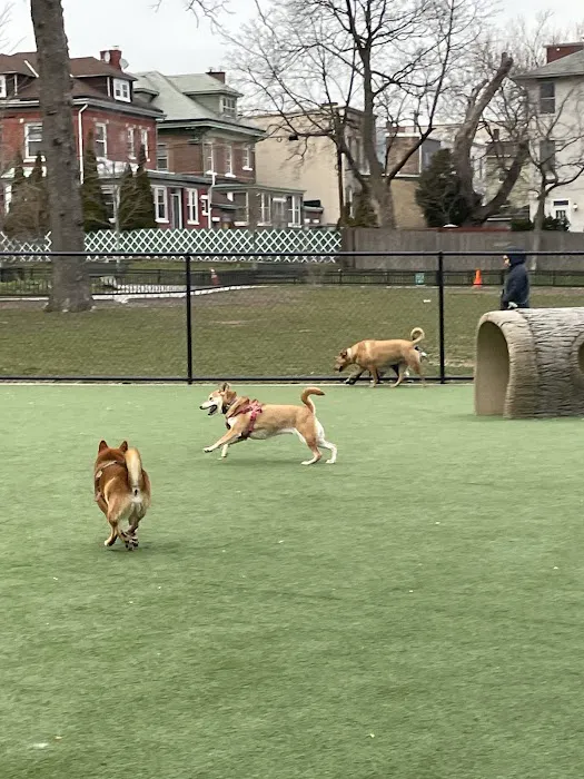 Washington Park Dog Run 1