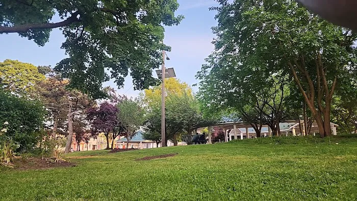 Washington Park Dog Run 7