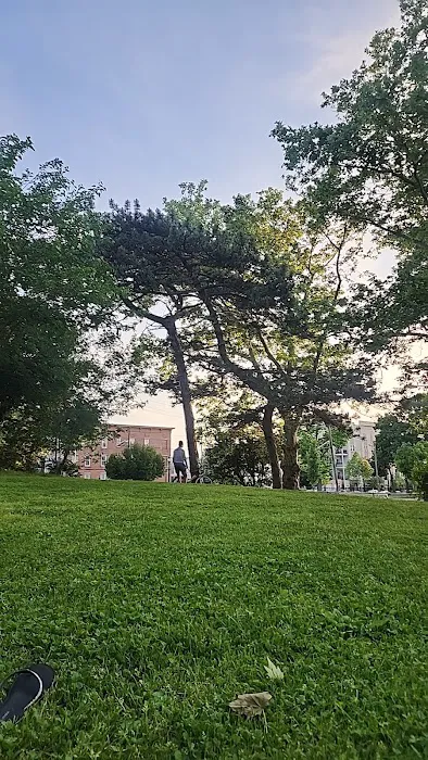 Washington Park Dog Run 8