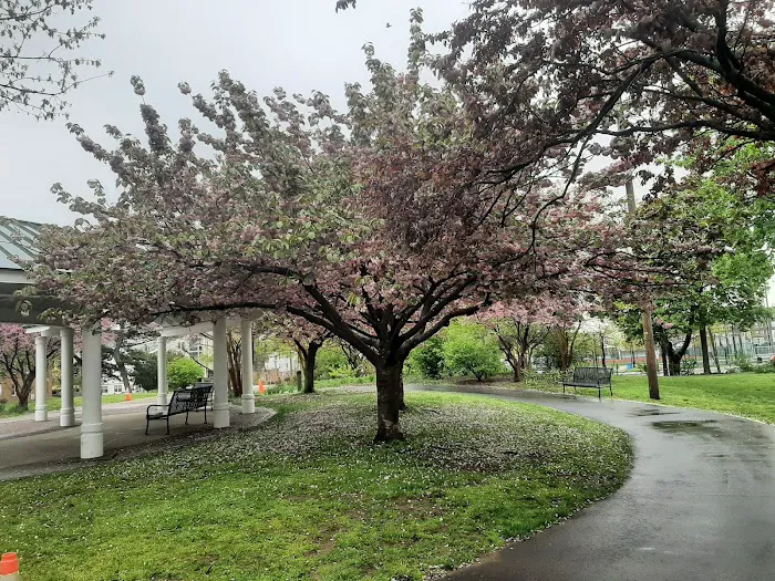 Washington Park Dog Run 9