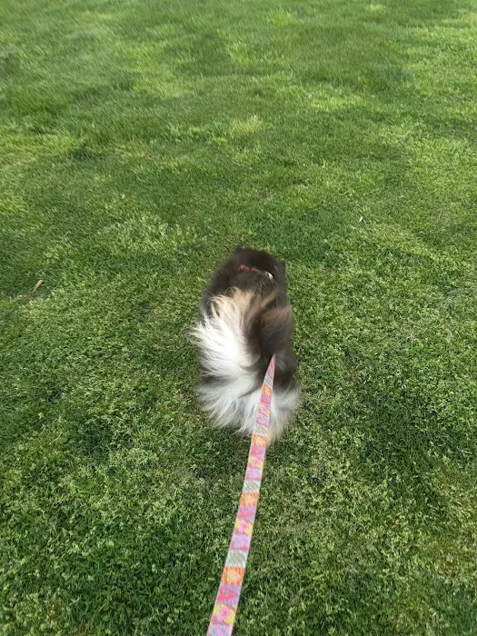 Washington Park Dog Run 10