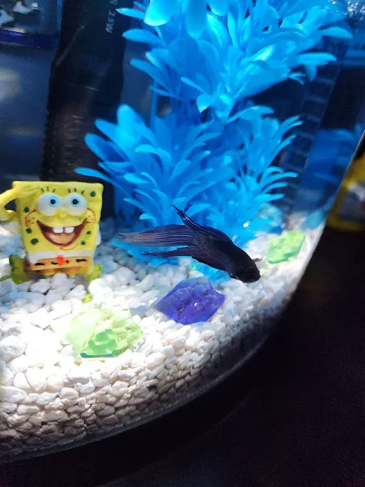 Pet Supplies Plus Fort Mill 9