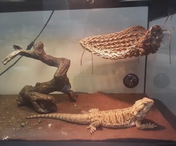 Pet Supplies Plus Fort Mill