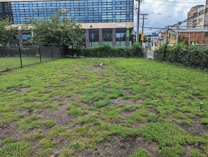 Dog run 5