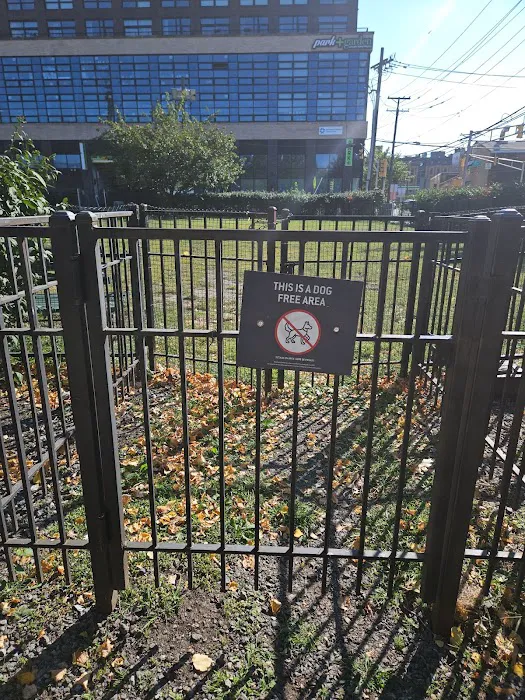 Dog run 2