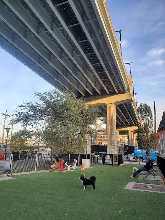Viaduct Park Dog Park 6