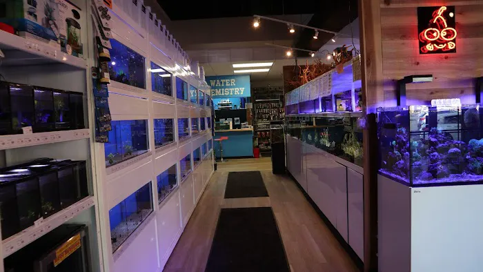 The Fish Room of Charlotte 6