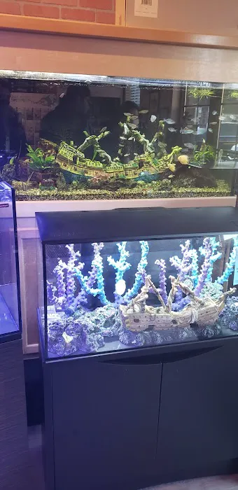 The Fish Room of Charlotte 3