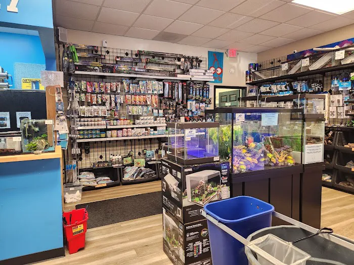 The Fish Room of Charlotte 5