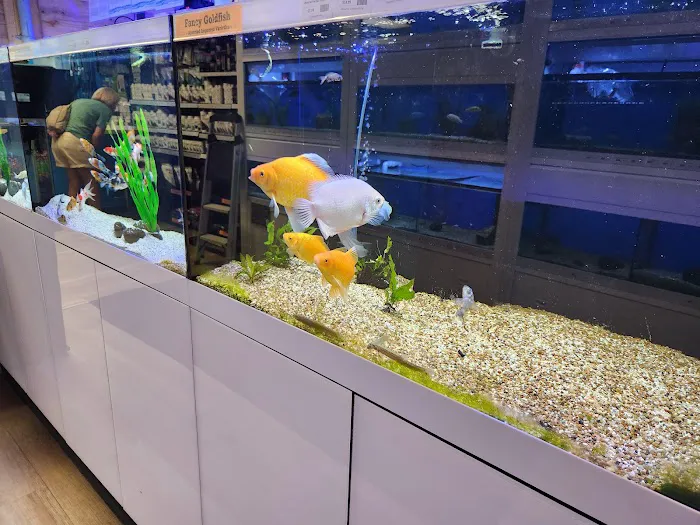 The Fish Room of Charlotte 10