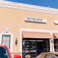 The Fish Room of Charlotte ico