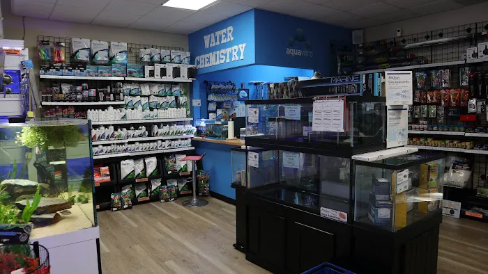 The Fish Room of Charlotte 9