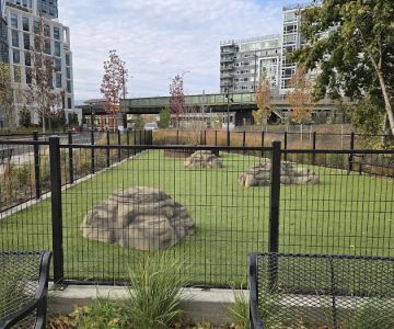 Dog Park