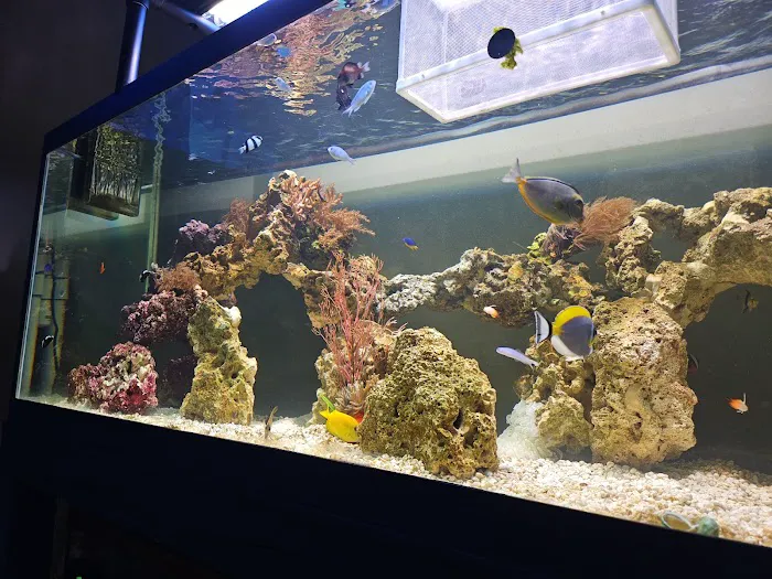 Missing Link Aquatics & Exotics 5