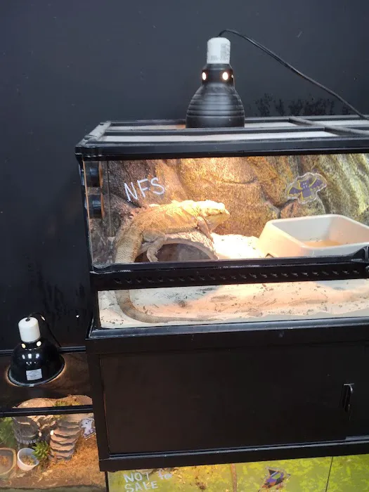 Missing Link Aquatics & Exotics 1