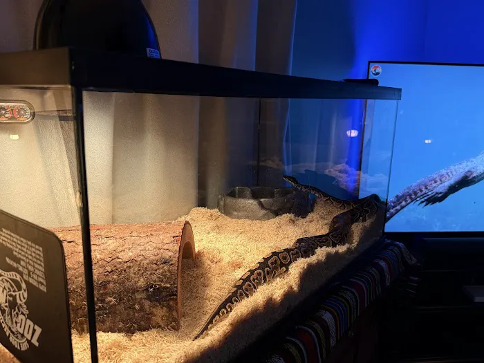 Missing Link Aquatics & Exotics 4