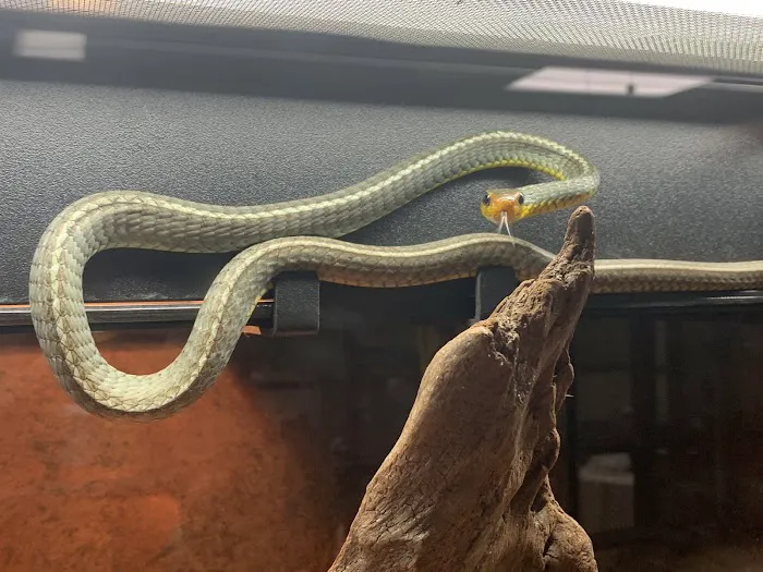 Missing Link Aquatics & Exotics 2