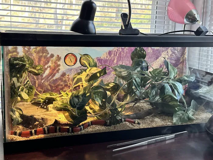 Missing Link Aquatics & Exotics 8