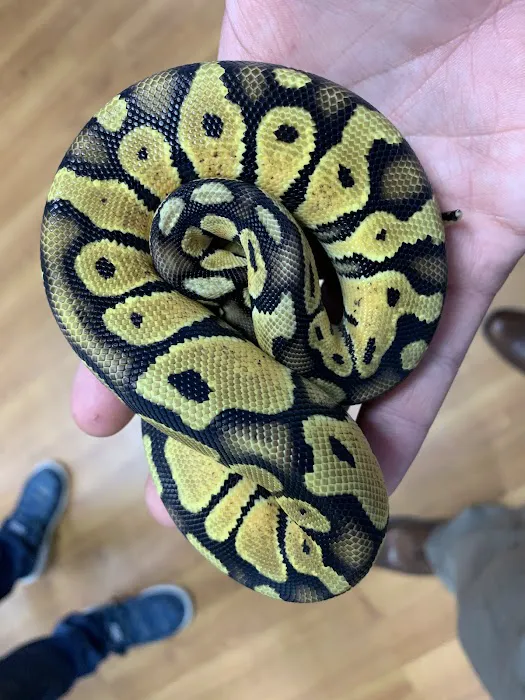 Missing Link Aquatics & Exotics 10