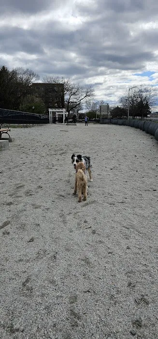 Owl's Head Park Dog Run 5
