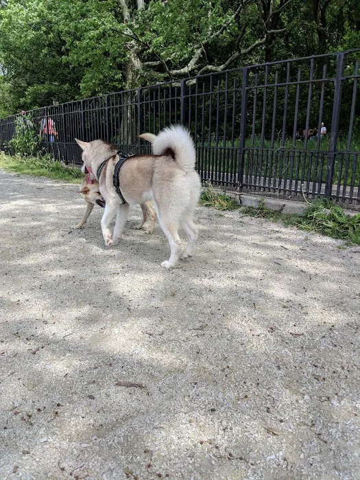 Owl's Head Park Dog Run 8