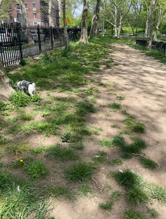 Lincoln Terrace Park Dog Run 1