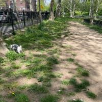 Lincoln Terrace Park Dog Run ico