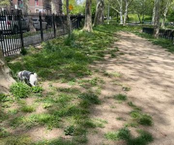 Lincoln Terrace Park Dog Run