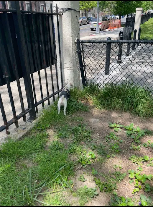Lincoln Terrace Park Dog Run 3