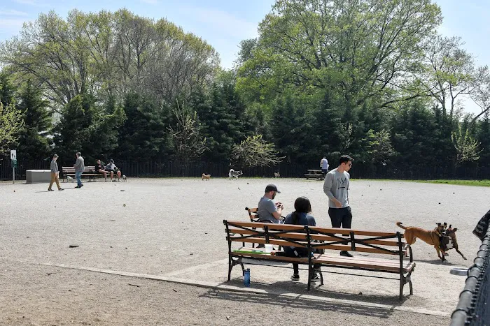 Dyker Beach Dog Run 6