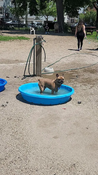 Dyker Beach Dog Run 3