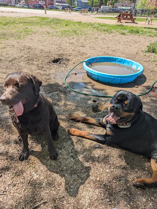 Dyker Beach Dog Run 5
