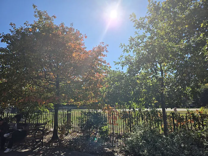 Dyker Beach Dog Run 8