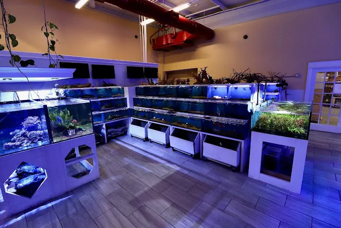Nemo's Reef 5