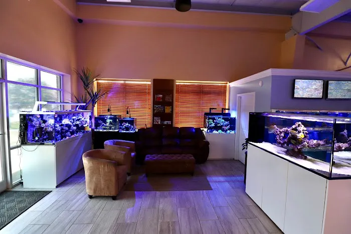Nemo's Reef 3