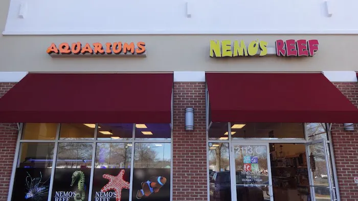 Nemo's Reef 6